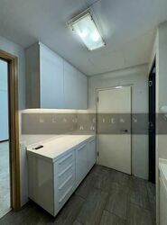 Rochelle At Newton (D11), Condominium #586270361